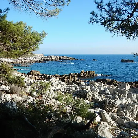 Miramar- Cap D'antibes - La Garoupe 호텔 3*